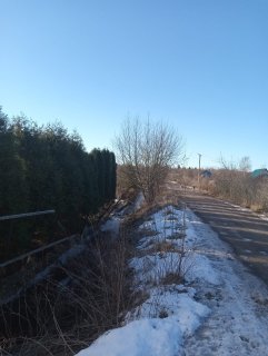 Удаление растительности продолжается 12.03.2024г.